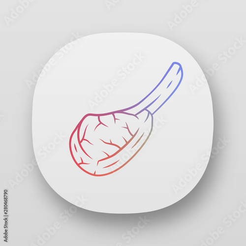 Tomahawk steak app icon. Butchers meat. Meat production and sale. Beefsteak. Pork rib. Protein source. Butchery business. UI/UX user interface. Web, mobile applications. Vector isolated illustrations