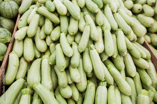 fresh raw zucchini at farmer green market