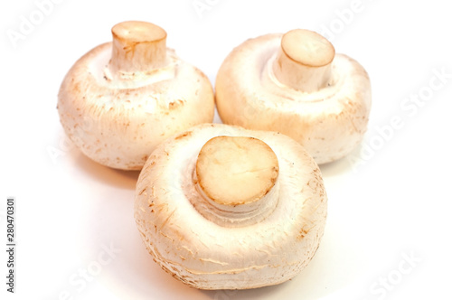 Champignon mushrooms isolated on white