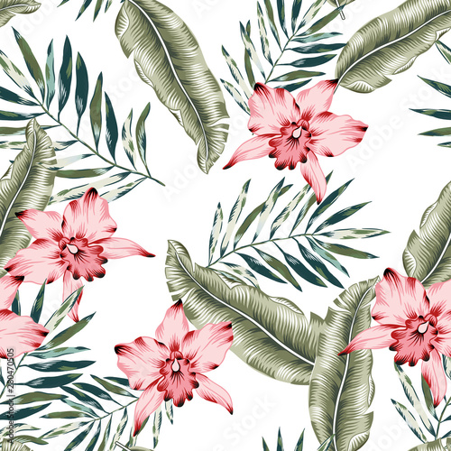 Tropical pink orchid flowers, green banana palm leaves, white background. Vector seamless pattern. Jungle foliage illustration. Exotic plants. Summer beach floral design. Paradise nature