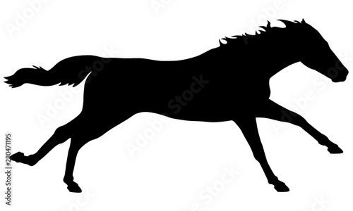 Race Horse Silhouette