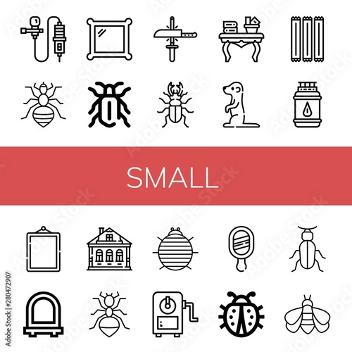 Set of small icons such as Lavalier, Louse, Mirror, Beetle, Sharpening, Coffee table, Meerkat, Toothpick, Gas bottle, Izba, Ant, Woodlouse, Sharpener, Ladybug, Bumblebee , small