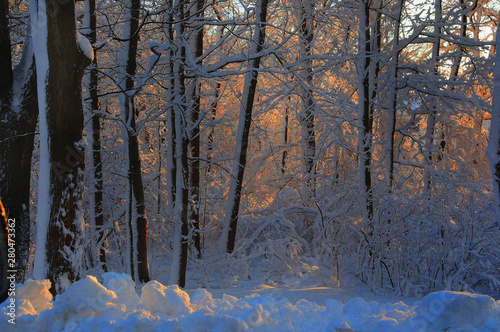 Winter sunrise © MICHAEL