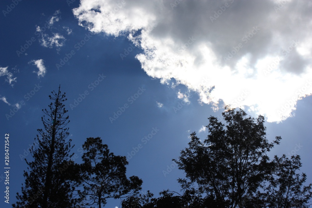 Sky and forest from Itaipava, mountains region of Rio de Janeiro/Brazil. Sky and forest from Itaipava, mountains region of Rio de Janeiro/Brazil.