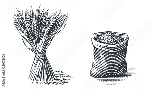 Malt in burlap bag and sheaf of wheat. Hand drawn engraving style.