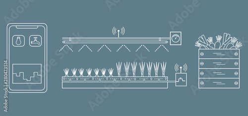 Smart farm and agriculture. Monitoring and control of temperature, humidity, light level. Cultivation of plants. New technologies. High yield.