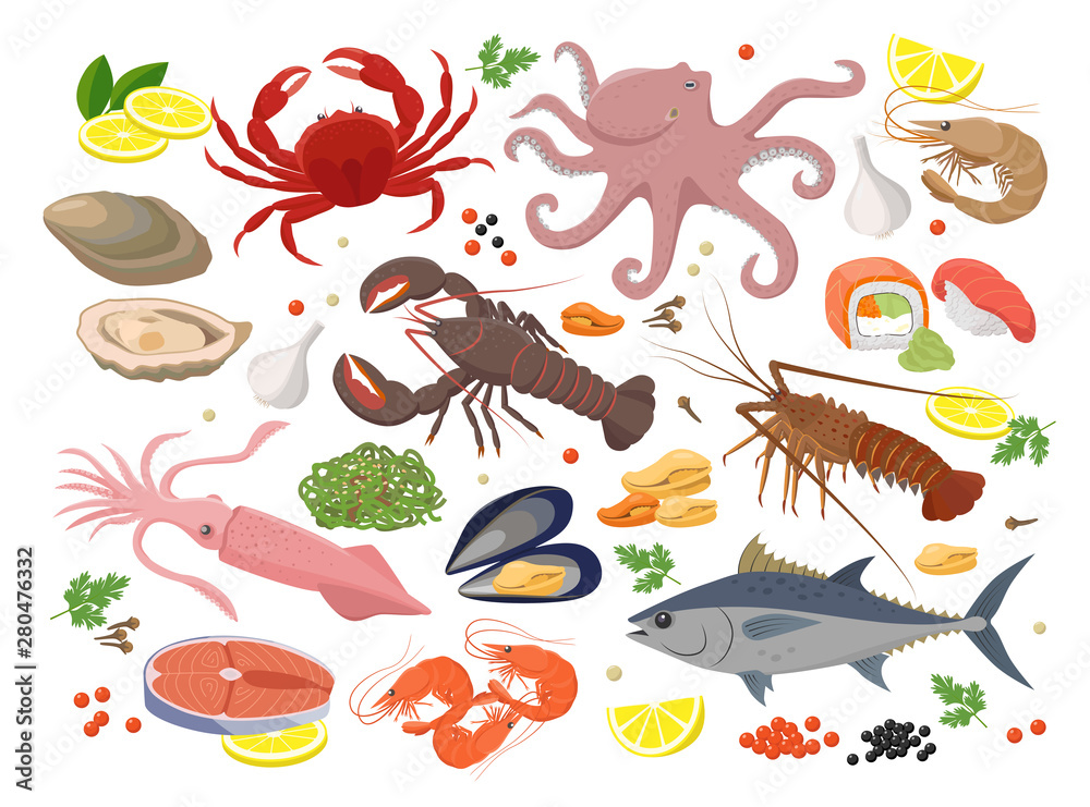 Seafood big collection of vector illustrations in flat design isolated on white background. Vector icon set of mussel, shrimp, squid, octopus, lobster, crab, mollusk, oyster, tuna fish, seaweed, roe.