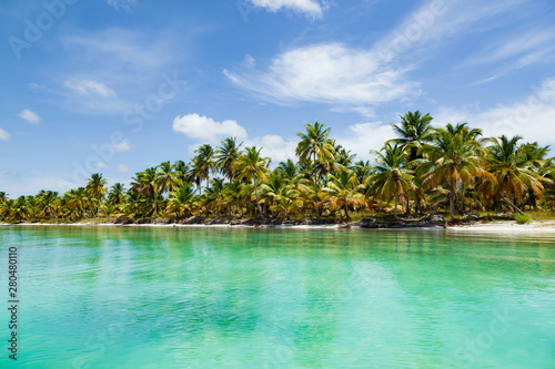 Beautiful tropical beach with white sand  coconut trees and turquoise sea water of the Caribbean on an island in the Dominican Republic. Paradise island for travel and recreation. Panorama copy space