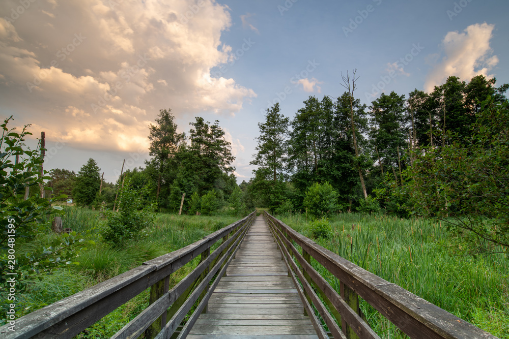 Fototapeta premium scene with lush greenery and wooden bridge in sunset light