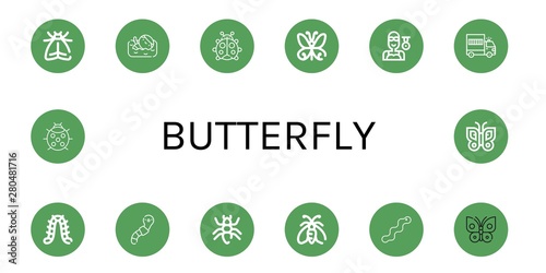 Set of butterfly icons such as Moth, Swimmer, Ladybug, Butterfly, Prisoner transport vehicle, Caterpillar, Worm, Ant , butterfly