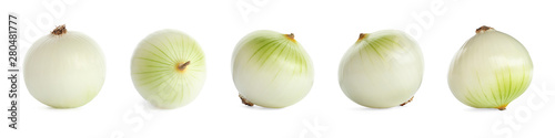 Set of raw onions on white background. Banner design