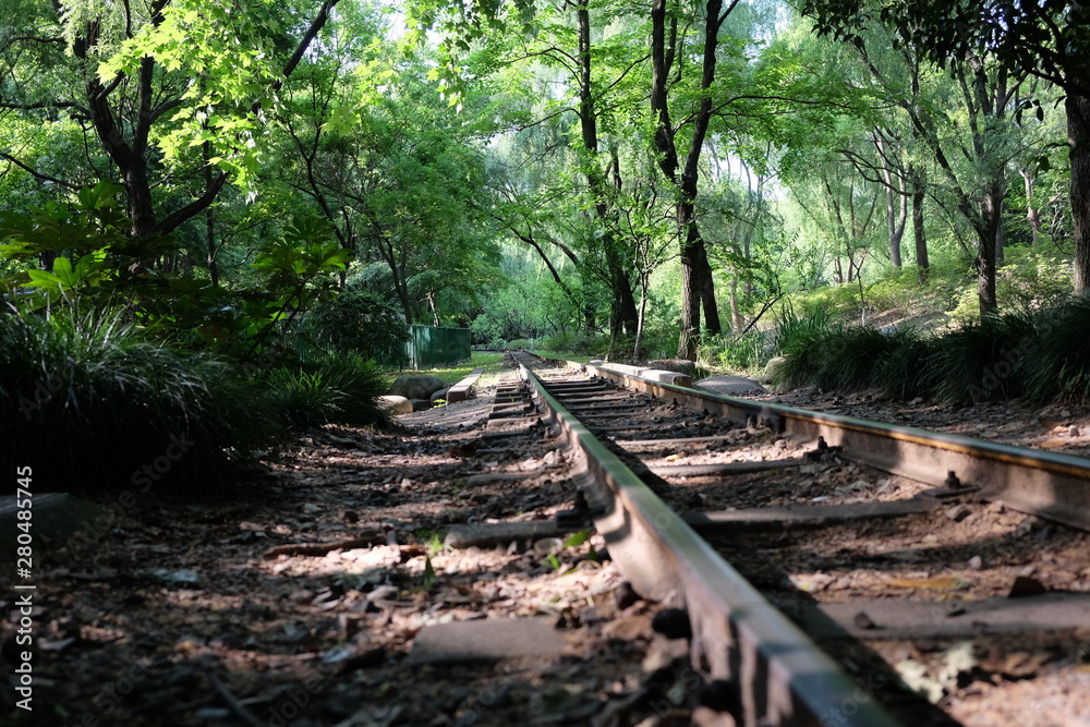 close up steel train track in green forest under sunshine. Low angle and perspective close up steel train track in green forest under sunshine. Low angle and perspective