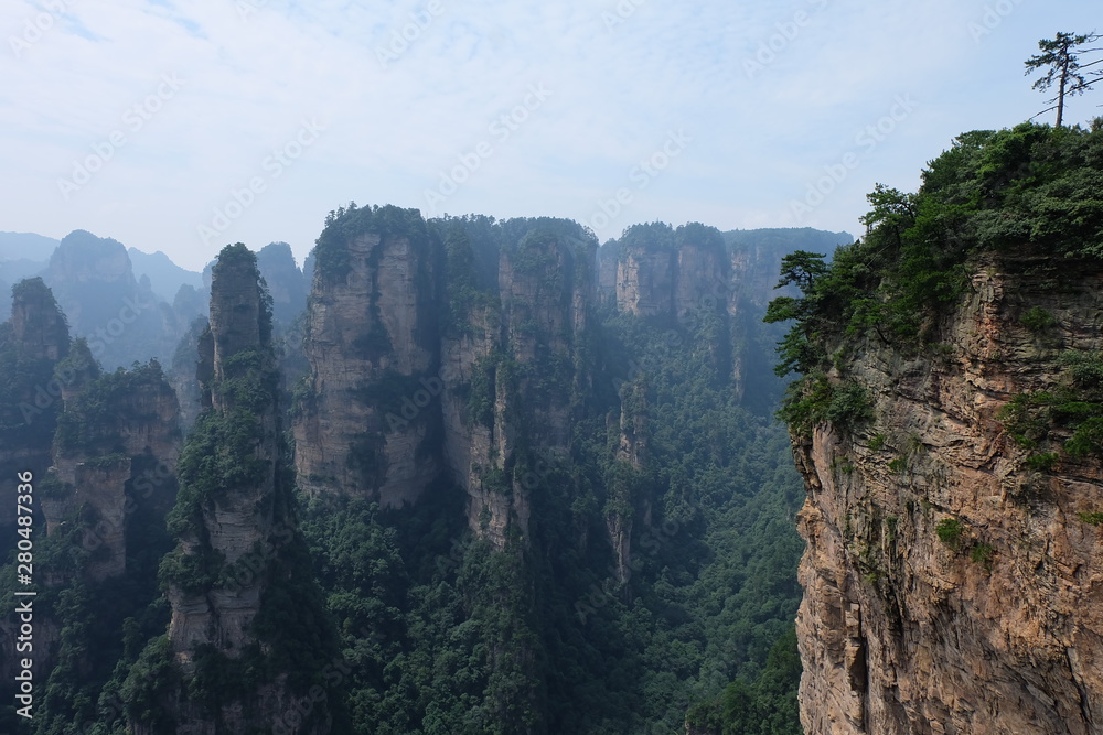 Quartzite sandstone pillars and peaks in Zhangjiajie National Forest park in china Hunan province. wide brown stone mountains. one pine tree on steep mountain