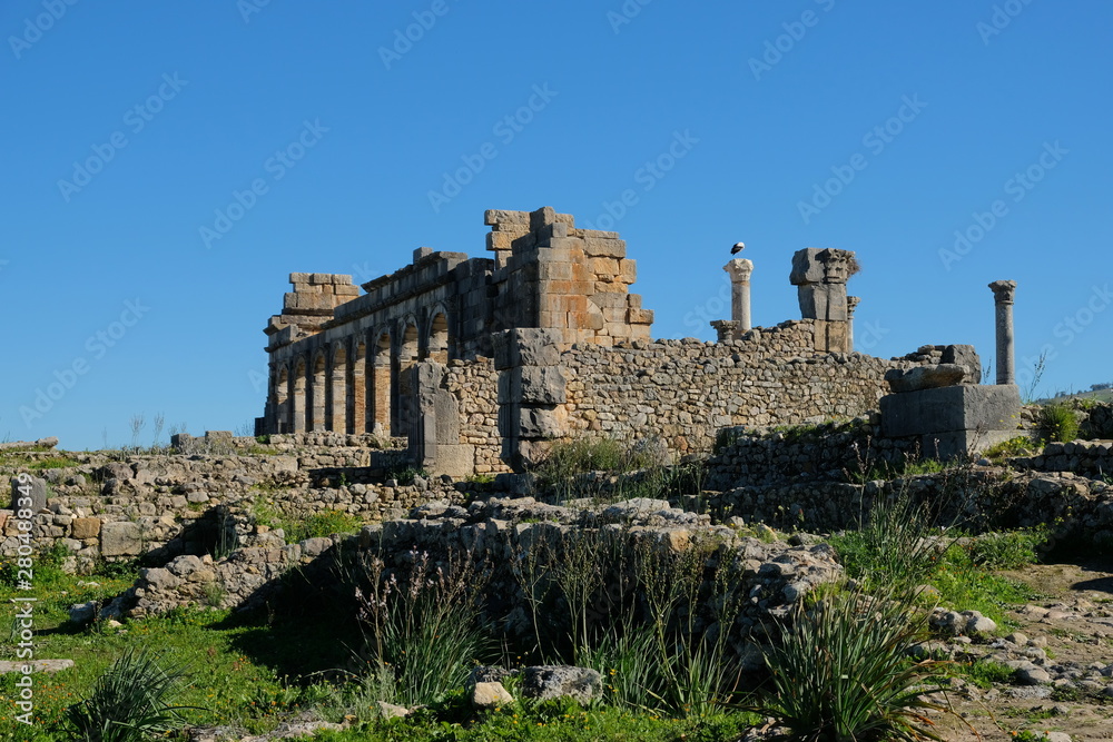 Roman ruins in volubilis morocco. View of the Basilica, blue sunny sky. Surrounded by a mix of desert grass