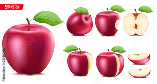 Red Apple Fruit Ripe Realistic 3D Food Vector Set. Whole Half and Sliced Version In Isolated White Background