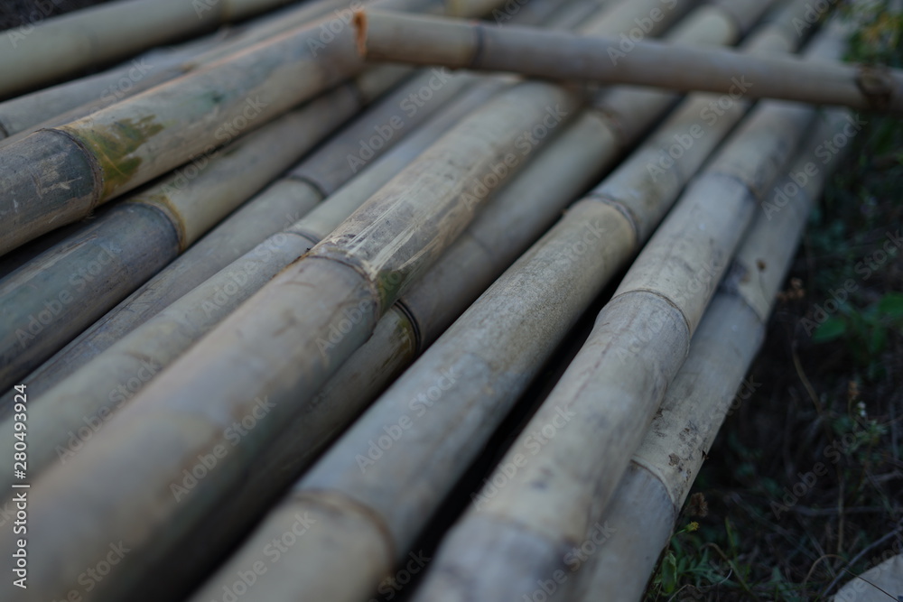 Dry brown pile of bamboo background