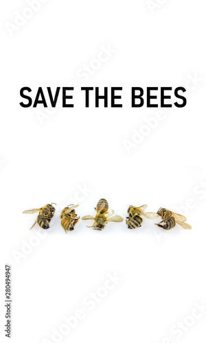 Concept illustration, Decline in Bees due to habitat destruction,  pollution and pesticide use, A line of five dead bees isolated on a white background with Save The Bees text, vertical photo