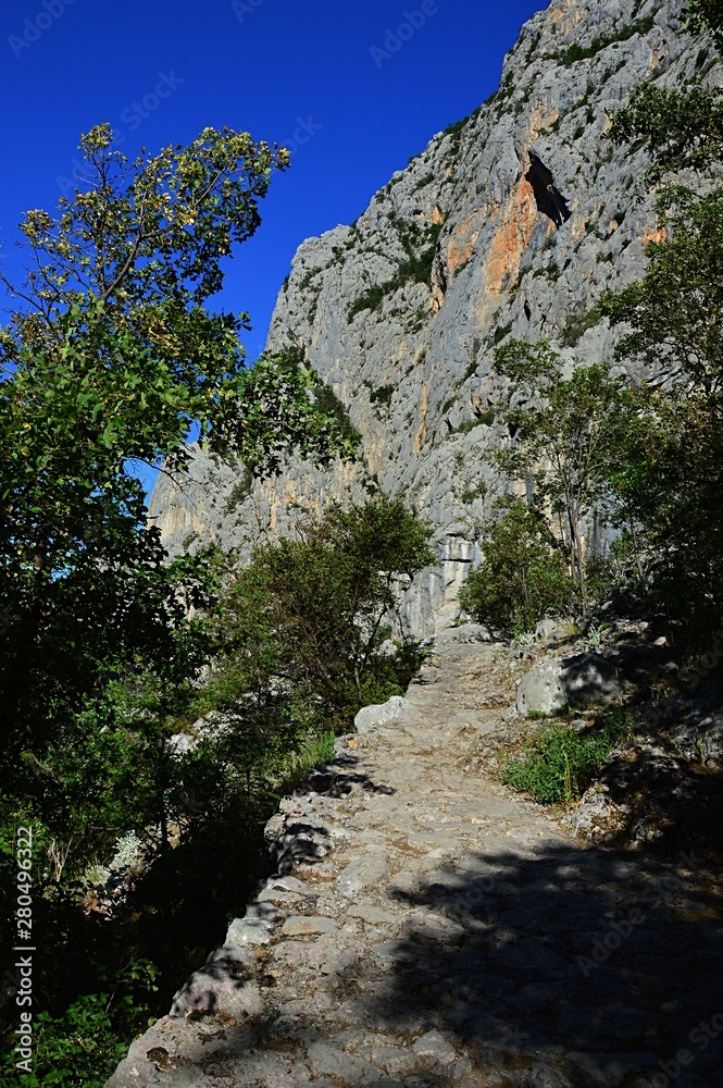 Mountain path surrounded by vegetation, leading towards steep rock cliff. Location near Manita Pec, Paklenica National Park, Croatia 