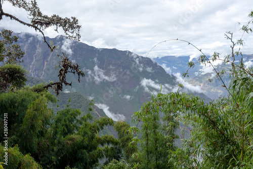 Bamboo green canopy in high-altitude jungles at Peruvian Andes with cloud-covered mountains, Peru photo