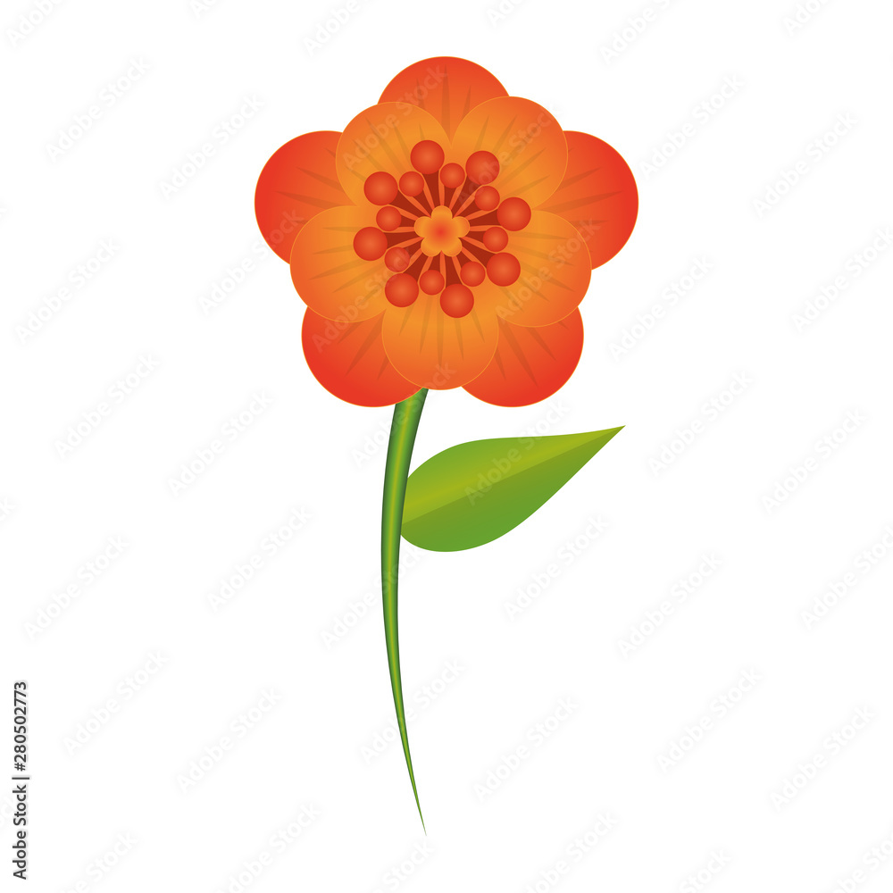 flower tropical spring floral cartoon flower tropical spring floral cartoon