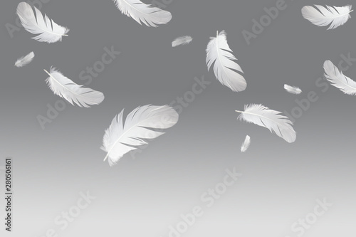 abstract white bird feathers floating in the air