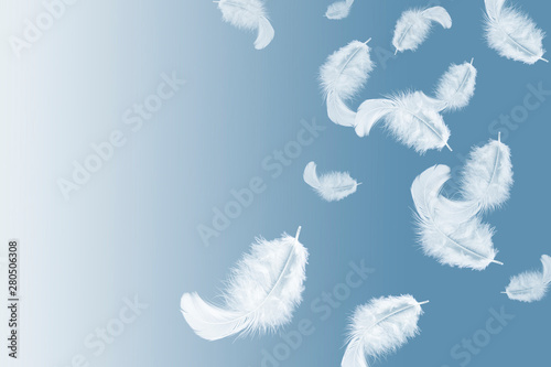 Fototapeta Naklejka Na Ścianę i Meble -  abstract solf white feathers floating in the air