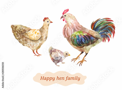 Domestic bird family. Hen, cock and chick. Vector watercolor illustrati