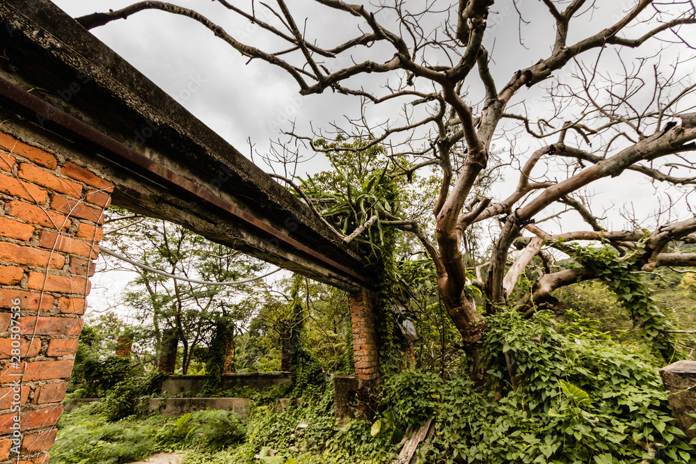 The ruins of the abandoned greenhouse of the Our Lady of Joy Abbey, Lantau Island, Hong Kong The ruins of the abandoned greenhouse of the Our Lady of Joy Abbey, Lantau Island, Hong Kong