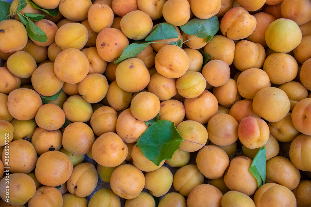 Close-up of apricot berries with leaves. Close-up of apricot berries with leaves.