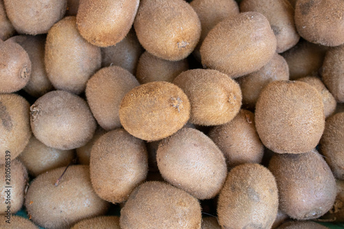 Kiwi fruit close-up. There s more than one. Hairy