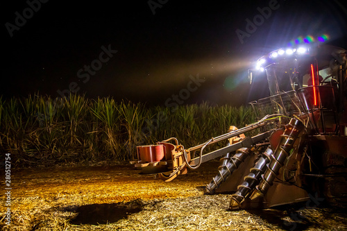 Sugar cane hasvest plantation night photo