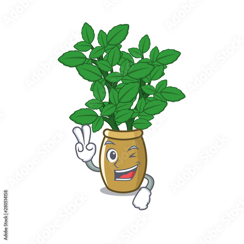 Two finger lemon balm in a mascot pot