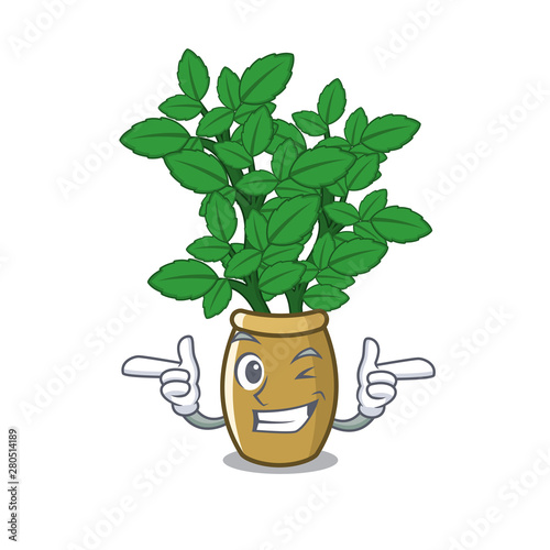 Wink lemon balm in a mascot pot