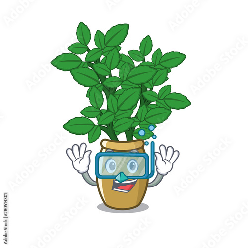 Diving lemon balm in a mascot pot