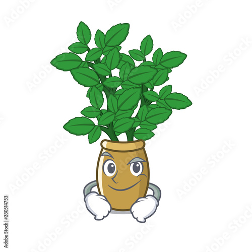 Smirking lemon balm in a mascot pot