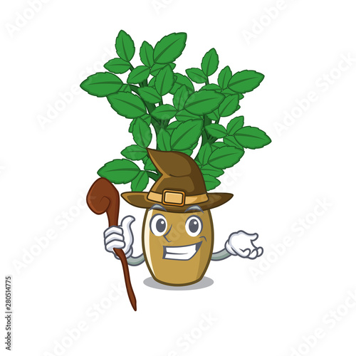 Witch lemon balm in the cartoon shape