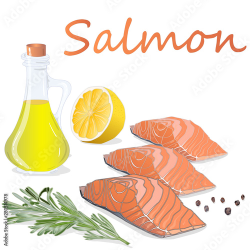 Raw salmon fillets with herbs on white background. Vector illustration