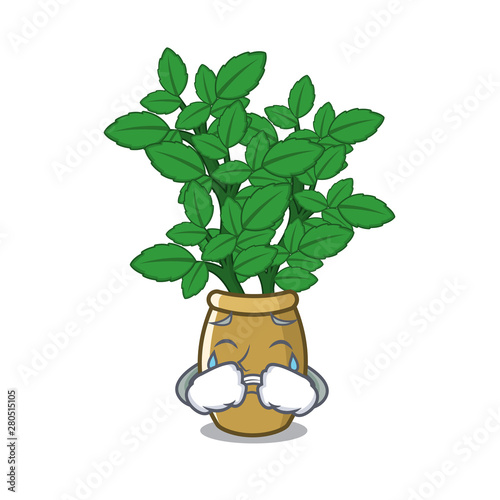Crying lemon balm in the cartoon shape