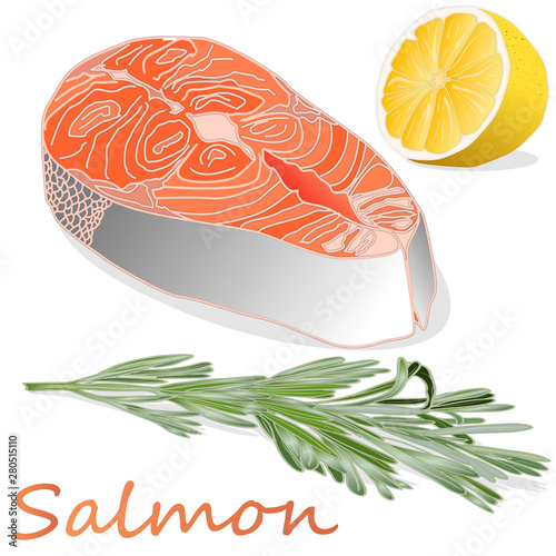 Raw salmon fillets with herbs on white background. Vector illustration