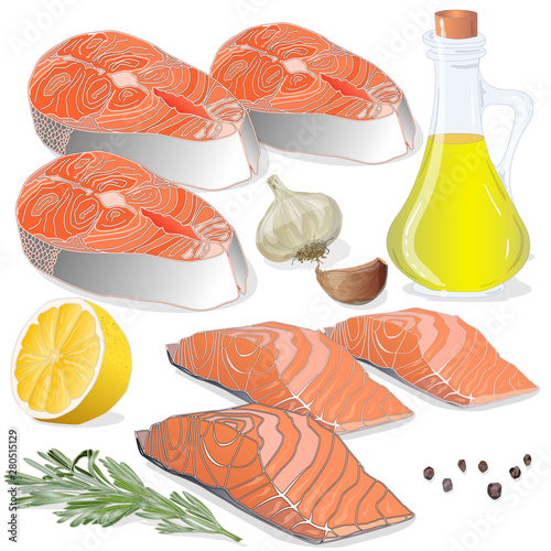 Raw salmon fillets with herbs on white background. Vector illustration