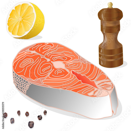 Raw salmon fillets with herbs on white background. Vector illustration