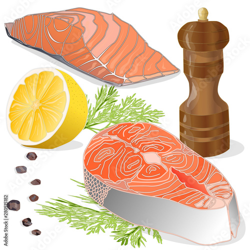 Raw salmon fillets with herbs on white background. Vector illustration