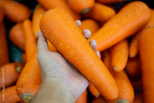 Hand picking fresh carrot on supermarket store