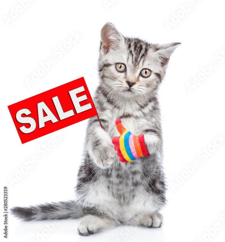 Tabby kitten with sales symbol showing thumbs up. isolated on white background