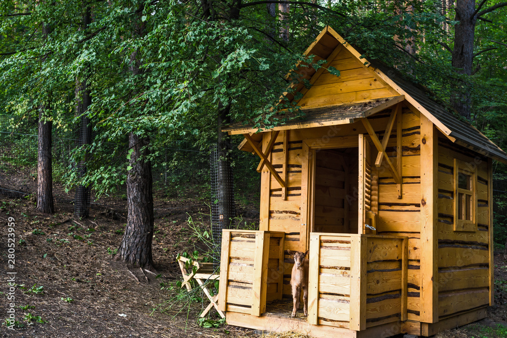 wooden house in the forest with a goat wooden house in the forest with a goat