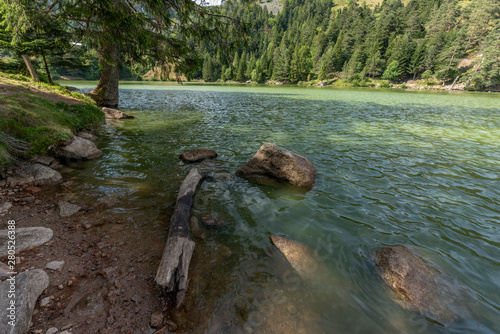 Lac des truites dans les Vosges photo