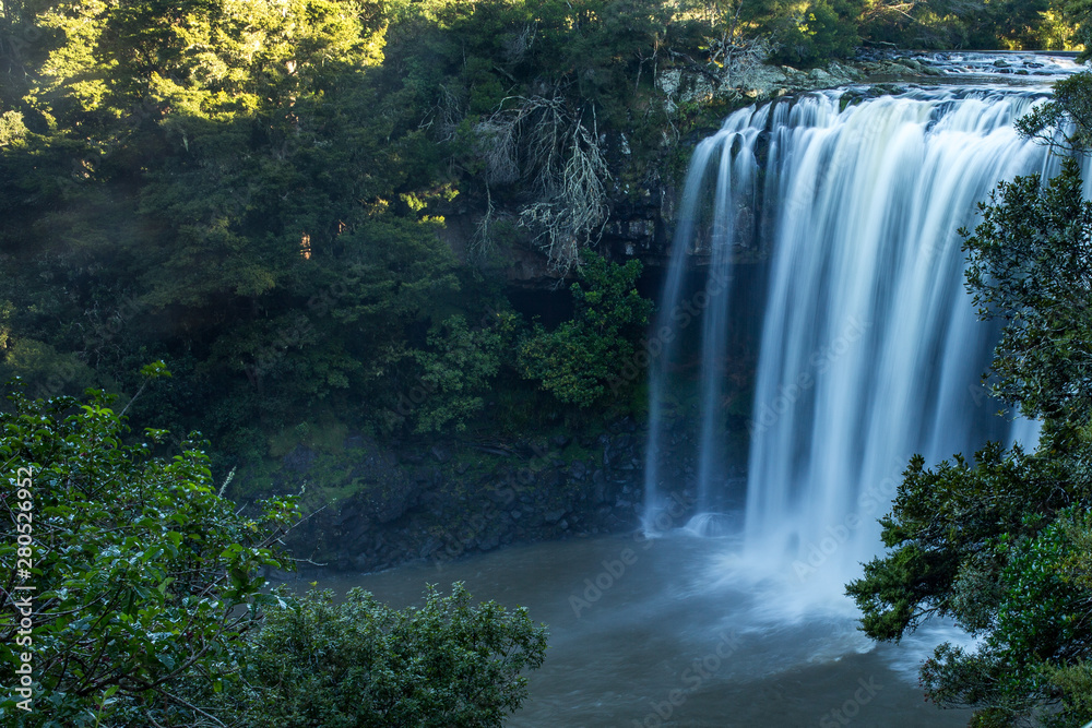 Stunning waterfall scenery in lush New Zealand native bush