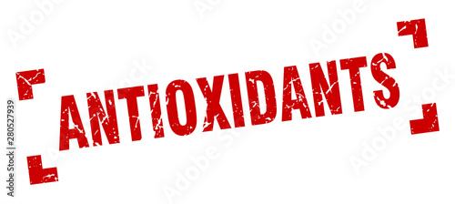 antioxidants stamp. antioxidants square grunge sign. antioxidants
