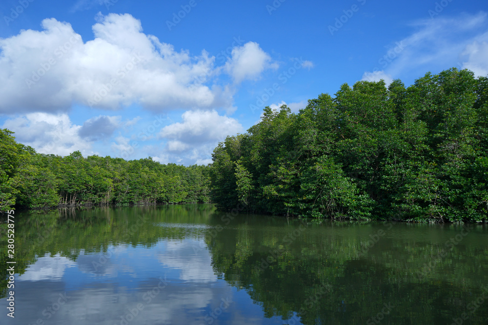 The river in the middle of the mangrove forest with blue sky and beautiful clouds at Riau islands Indonesia                               