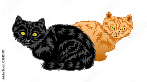 Black and sandy Kittens